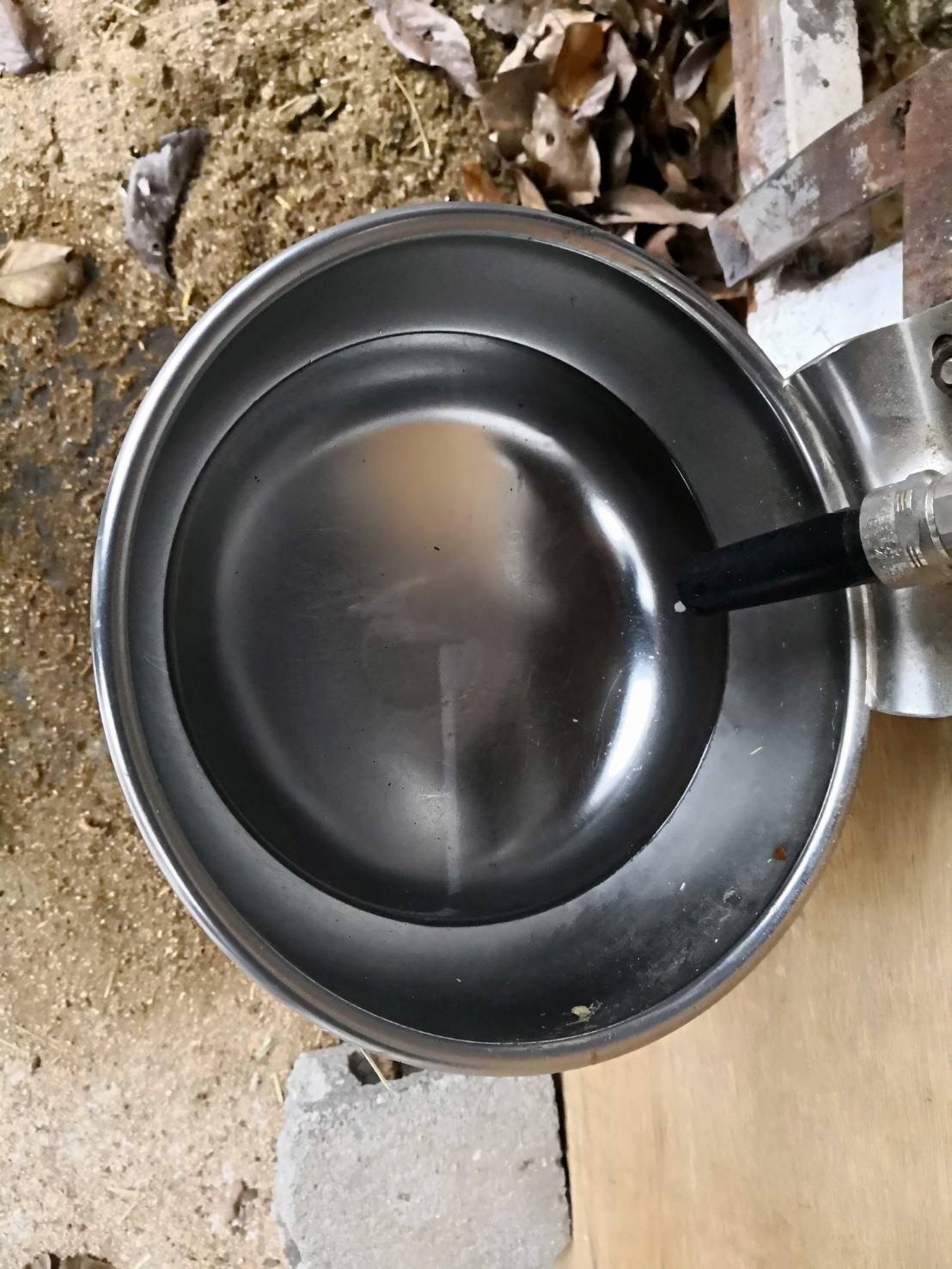 これから夏ですね